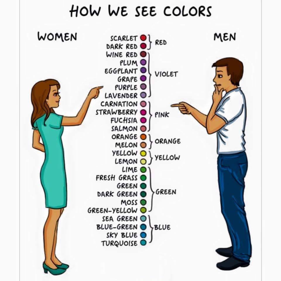 Hilariously True Differences Between Men and Women - Page 3 of 3