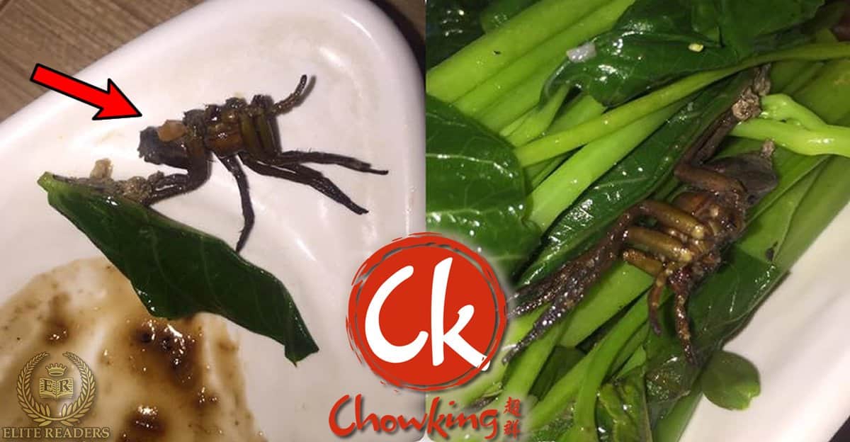Huge Spider Found on Chowking’s Special Vegetable Dish