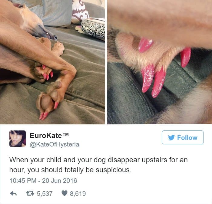 15 tweets about children that will make you laugh