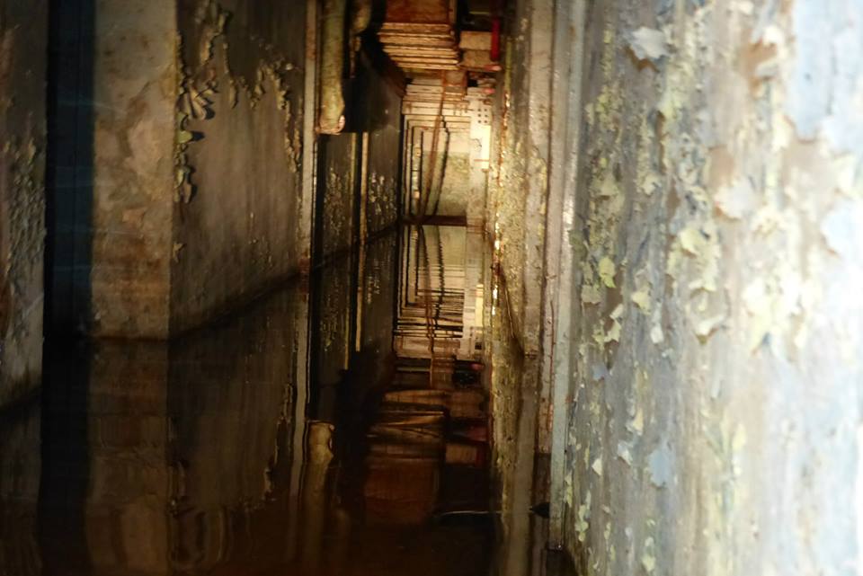 When you passed a few corners in the lead wall corridor, you'd set foot in this flooded area that was set a single step lower than the previous rooms. We only stuck our heads in to take some pictures. I decided to show this one, cause it has a ladder leading to another floor in it.
