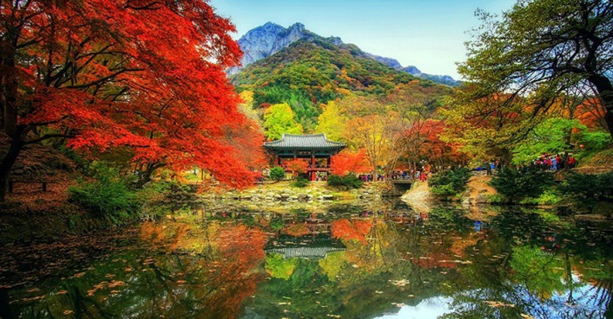 The Beautiful Landscapes of South Korea are Captured in ...