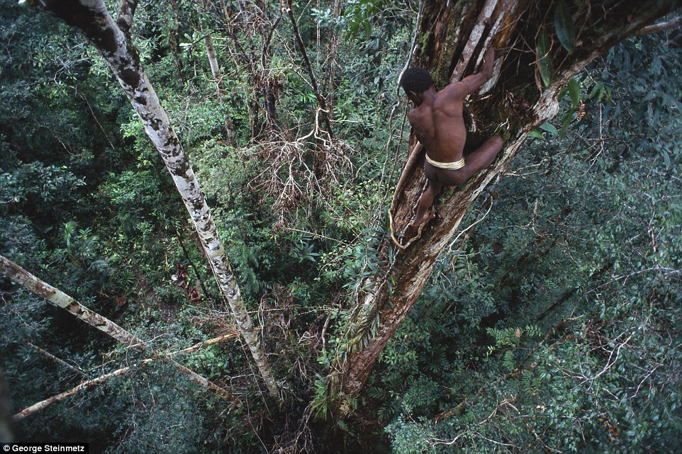 Meet the Korowai: Real-Life Tarzan Tribe of Papua New Guinea
