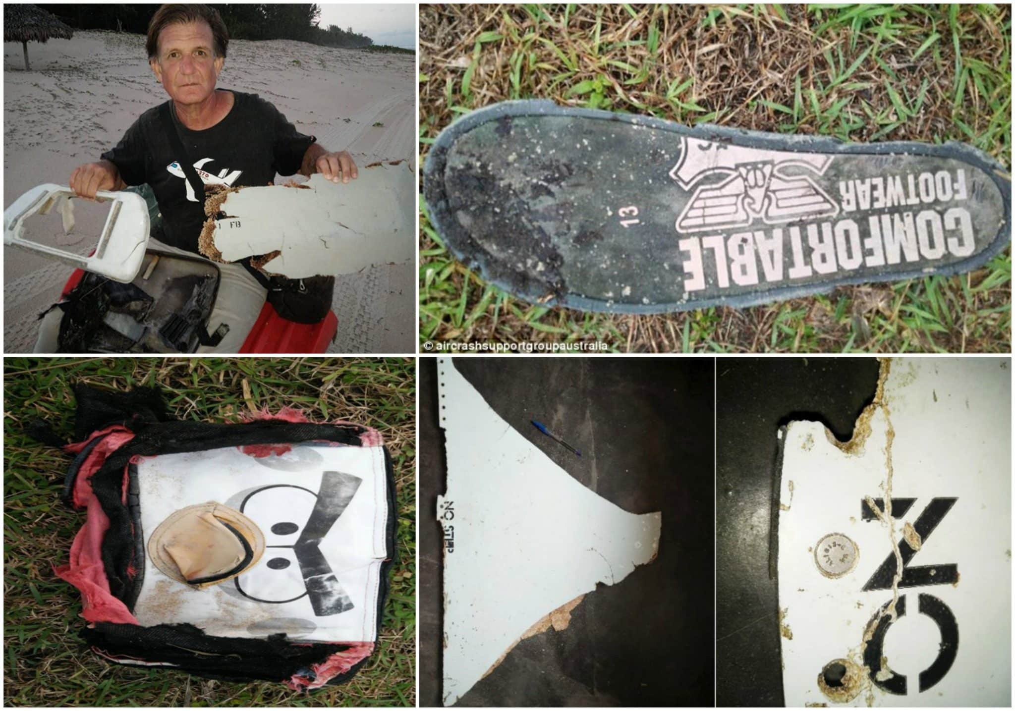 Aviation Expert Solves Missing Malaysia Airlines Mh370 Mystery With Hint From Chickens