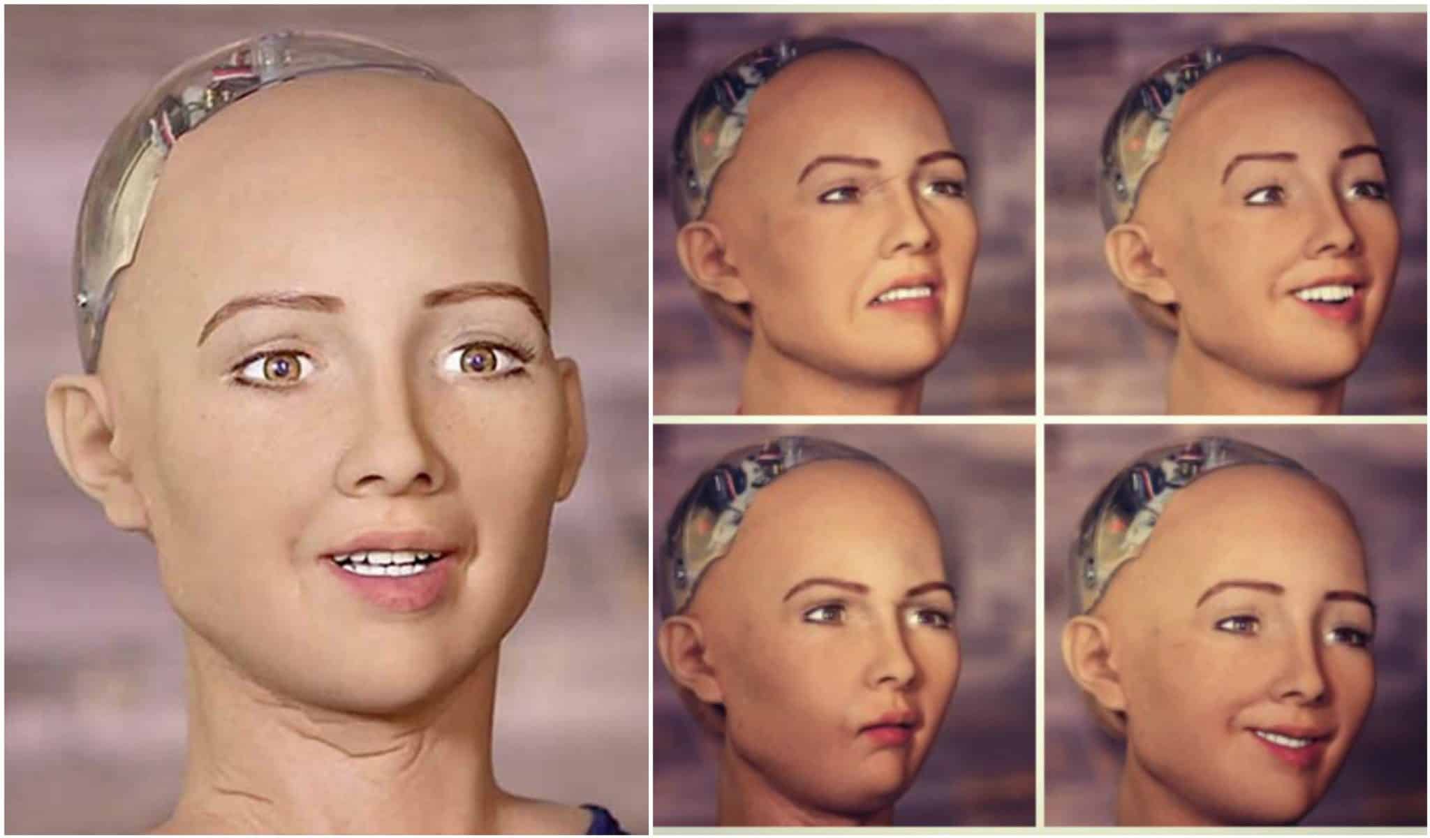 Beware Humankind, Sophia the Robot Vowed to Destroy Us All!