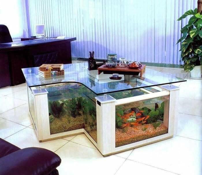 Featured image of post Fish Tank Coffee Table Australia - Featuring a simple yet elegant design, this aquarium tank can add oodles of charm to your living room.